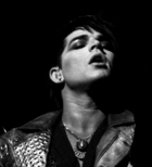 Adam Lambert : adam-lambert-1334983952.jpg