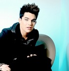 Adam Lambert : adam-lambert-1335204572.jpg