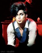 Adam Lambert : adam-lambert-1335513692.jpg