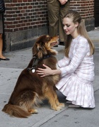 Amanda Seyfried : amanda-seyfried-1406484328.jpg