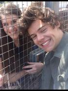 Harry Styles : harry-styles-1370620557.jpg