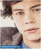 Harry Styles : harry-styles-1373013747.jpg