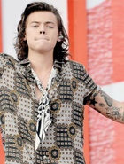 Harry Styles : harry-styles-1417285756.jpg