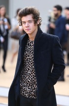 Harry Styles : harry-styles-1426278176.jpg