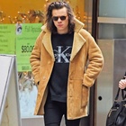 Harry Styles : harry-styles-1428173504.jpg