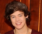 Harry Styles : harry-styles-1429458111.jpg