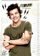 Harry Styles : harry-styles-1430413735.jpg