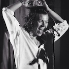 Harry Styles : harry-styles-1456110721.jpg