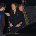 Harry Styles : harry-styles-1460401396.jpg