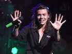 Harry Styles : harry-styles-1479768187.jpg