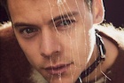 Harry Styles : harry-styles-1479768208.jpg