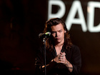 Harry Styles : harry-styles-1480605292.jpg