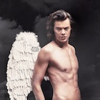 Harry Styles : harry-styles-1483127527.jpg