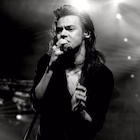 Harry Styles : harry-styles-1487356042.jpg