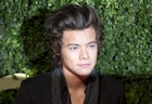 Harry Styles : harry-styles-1487524272.jpg