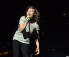 Harry Styles : harry-styles-1490043059.jpg