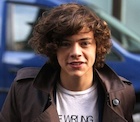 Harry Styles : harry-styles-1490214898.jpg