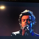 Harry Styles : harry-styles-1492805078.jpg