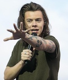 Harry Styles : harry-styles-1493064158.jpg