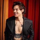 Harry Styles : harry-styles-1494618067.jpg