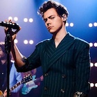 Harry Styles : harry-styles-1495819717.jpg