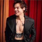 Harry Styles : harry-styles-1496344456.jpg