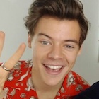 Harry Styles : harry-styles-1496701303.jpg