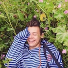 Harry Styles : harry-styles-1498092817.jpg