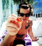 Harry Styles : harry-styles-1501025055.jpg