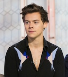 Harry Styles : harry-styles-1501126908.jpg