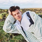 Harry Styles : harry-styles-1502671509.jpg