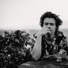 Harry Styles : harry-styles-1585164203.jpg