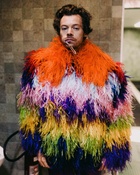 Harry Styles : harry-styles-1671311702.jpg