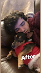 Aaron Carpenter : aaron-carpenter-1545547681.jpg