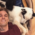 Aaron Carter : aaron-carter-1467310866.jpg