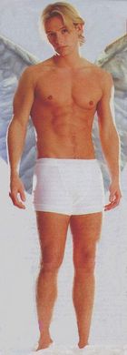 Adam Rickitt : rickitt060.jpg