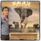 Aidan Gallagher : aidan-gallagher-1485285691.jpg