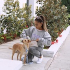 Ariana Grande : ariana-grande-1439760901.jpg