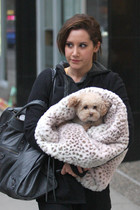 Ashley Tisdale : ashley-tisdale-1375112758.jpg