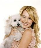 Ashley Tisdale : ashley_tisdale_1173111528.jpg