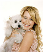 Ashley Tisdale : ashley_tisdale_1186672941.jpg