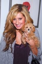 Ashley Tisdale : ashley_tisdale_1201021703.jpg