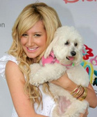 Ashley Tisdale : ashley_tisdale_1201129292.jpg