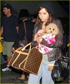 Ashley Tisdale : ashley_tisdale_1264671096.jpg