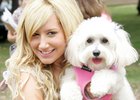 Ashley Tisdale : ashley_tisdale_1277168894.jpg