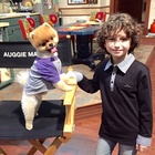 August Maturo : august-maturo-1421526142.jpg