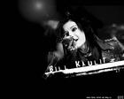 Bill Kaulitz : bill_kaulitz_1230502874.jpg