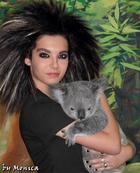 Bill Kaulitz : bill_kaulitz_1233065210.jpg