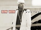 Bow Wow : TI4U_u1154229019.jpg