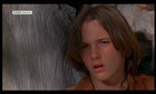 Brad Renfro : brad-renfro-1359308340.jpg